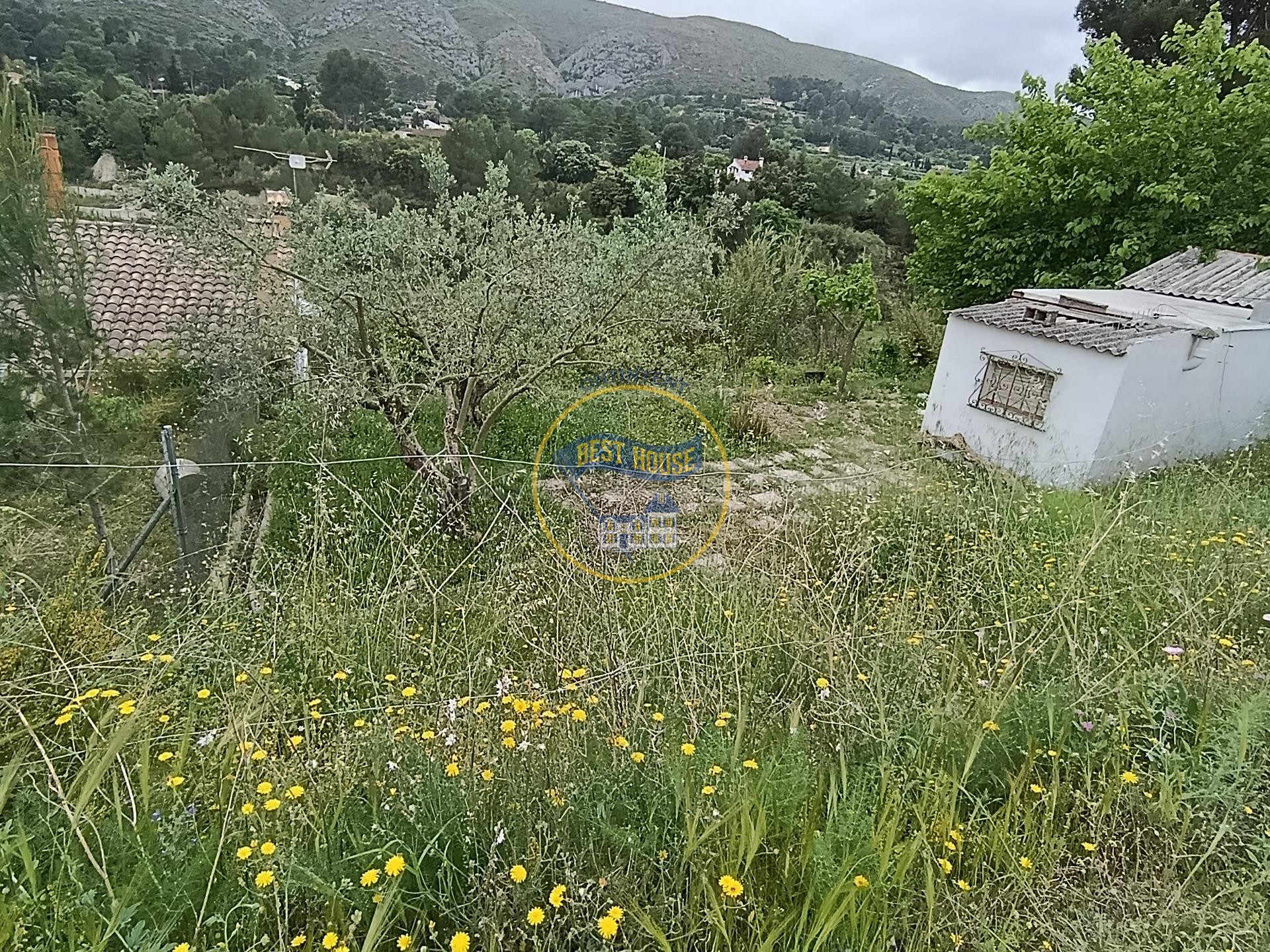 CASA DE CAMPO CON TERRENO EN EXCLUSIVA EN ONTINYENT - foto 4