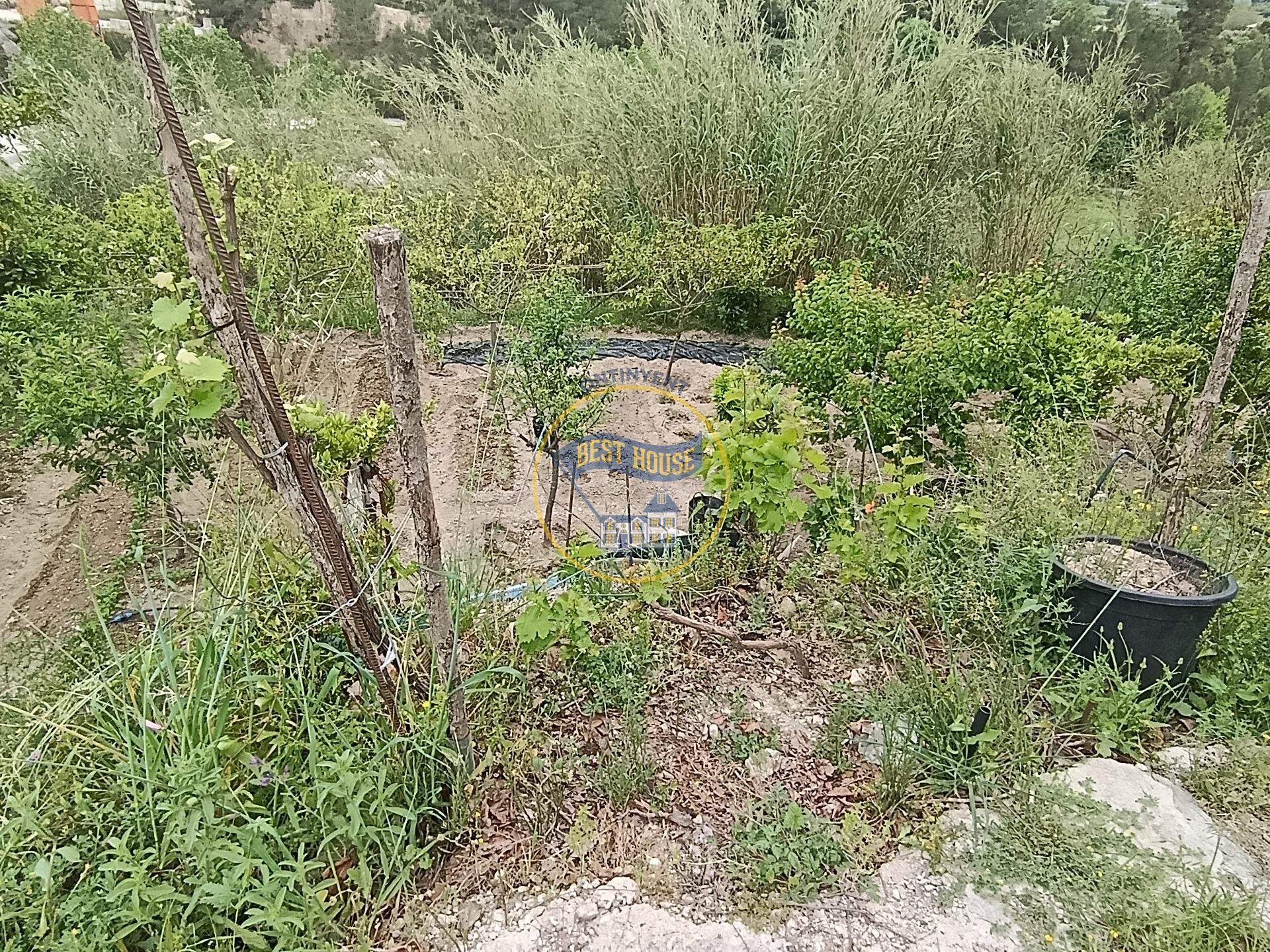 CASA DE CAMPO CON TERRENO EN EXCLUSIVA EN ONTINYENT - foto 5
