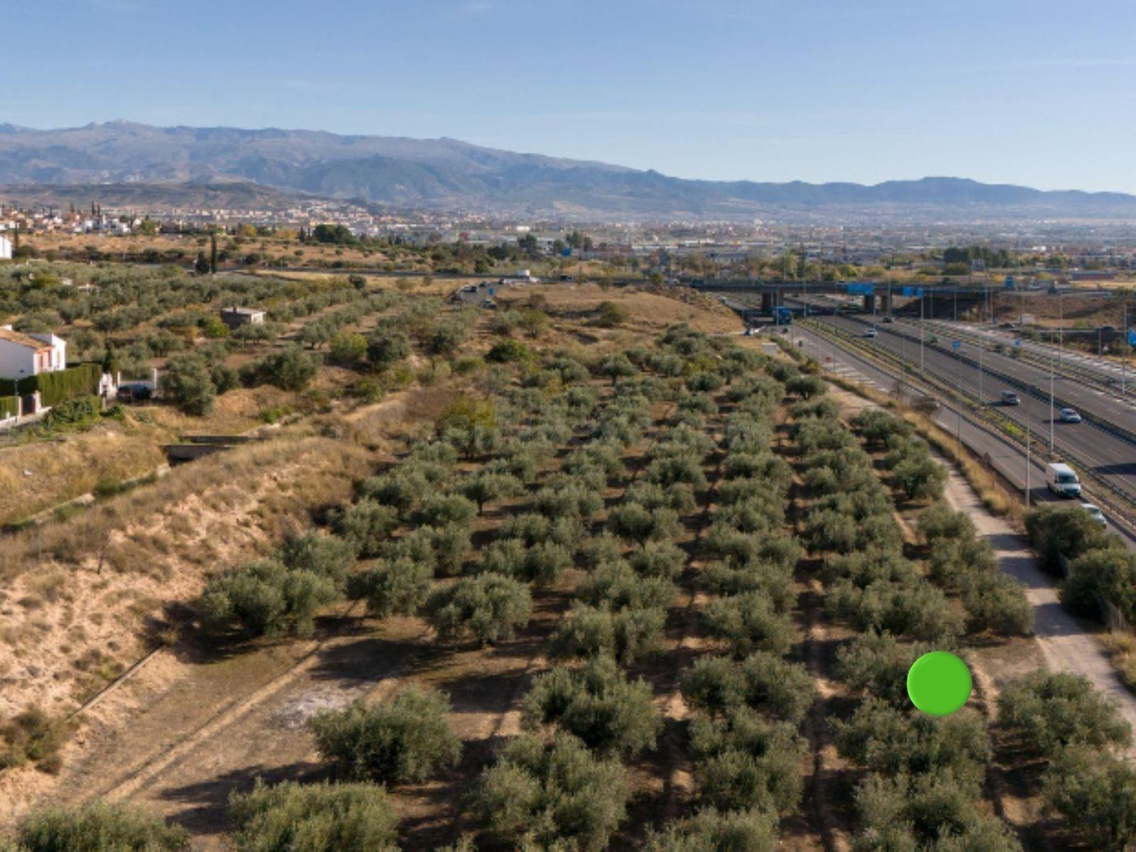 Oportunidad Única en Loma Verde: Suelo Urbano para Vivienda 