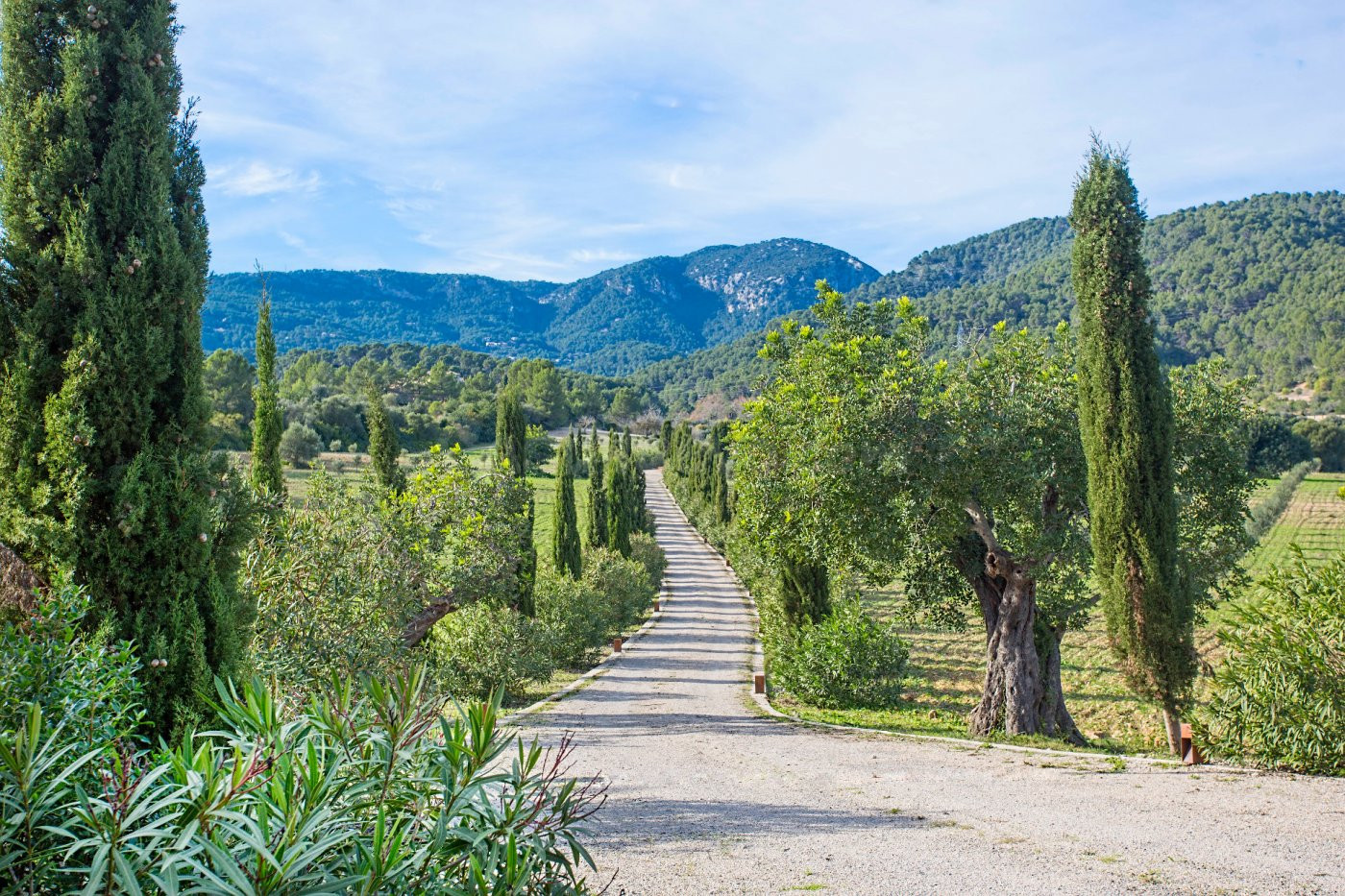 ENCANTADORA FINCA RÚSTICA DENTRO DE UN PRECIOSO ENTORNO NATU - foto 4