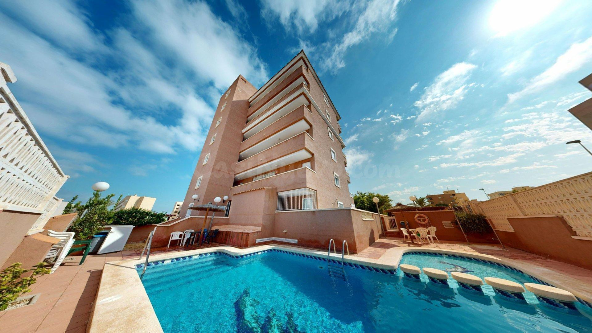 Venta - MIRASOL - América (Ref. IM276VE)