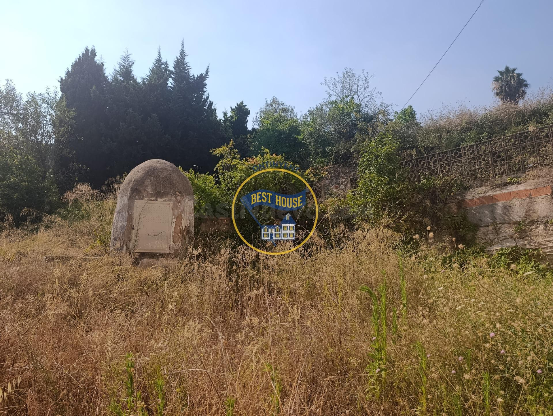 OPORTUNIDAD FINCA RUSTICA PROXIMA A LA POBLACION DE ONTINYEN - foto 4