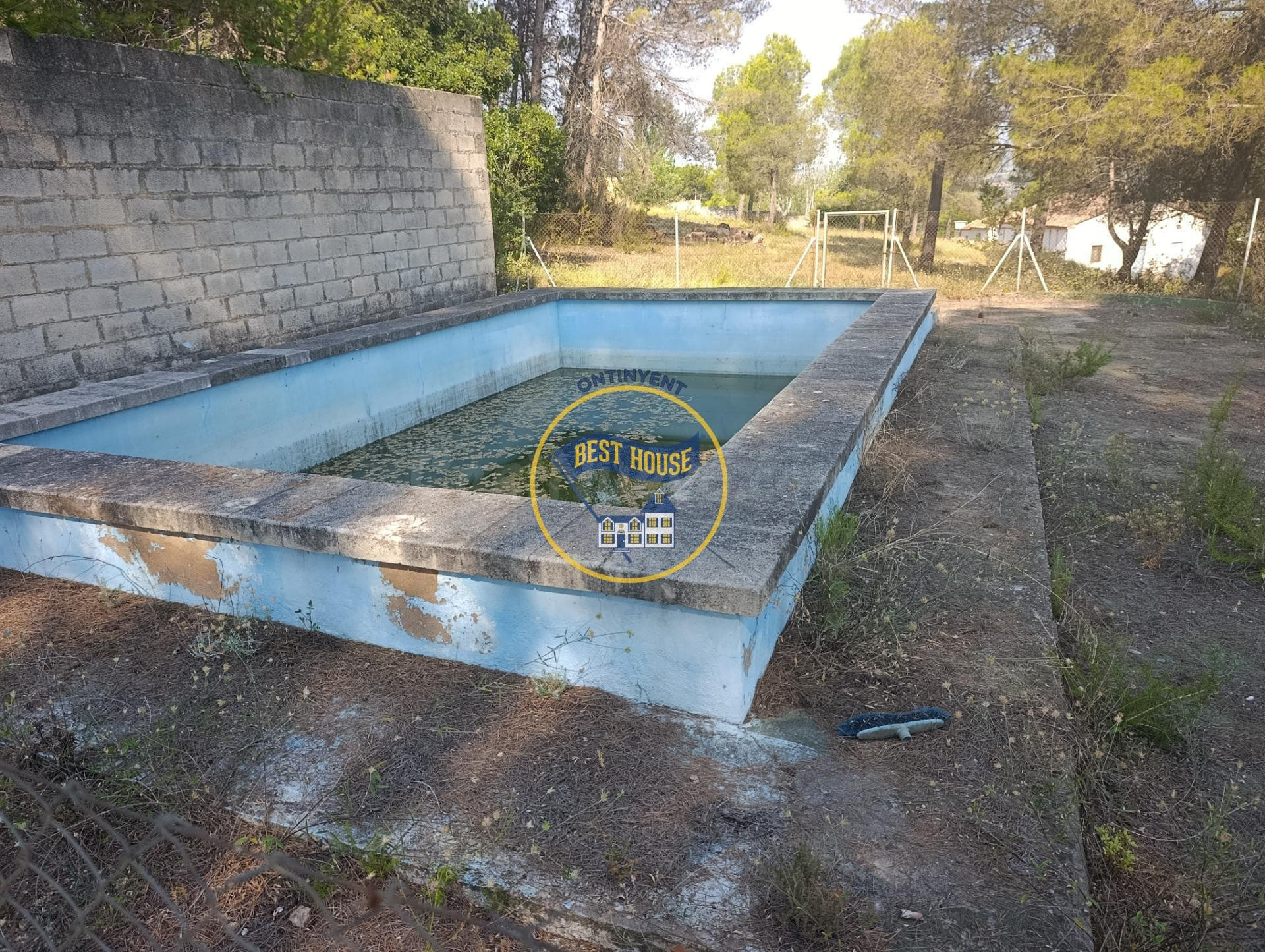 OPORTUNIDAD FINCA RUSTICA PROXIMA A LA POBLACION DE ONTINYEN - foto 5