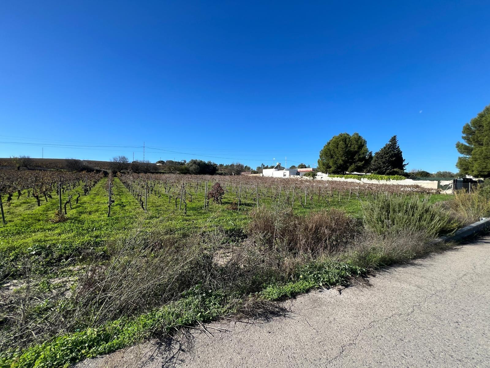 Parcela en venta - sur