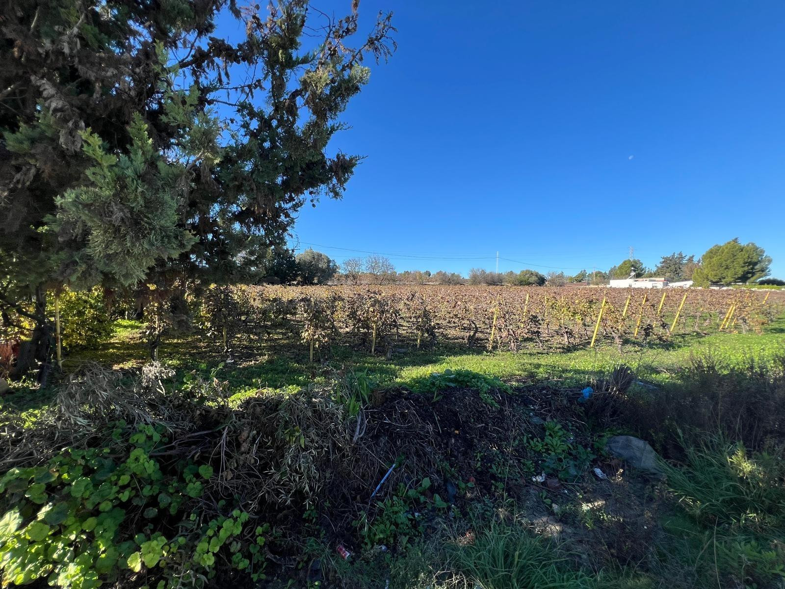 Parcela en venta - sur - foto 4