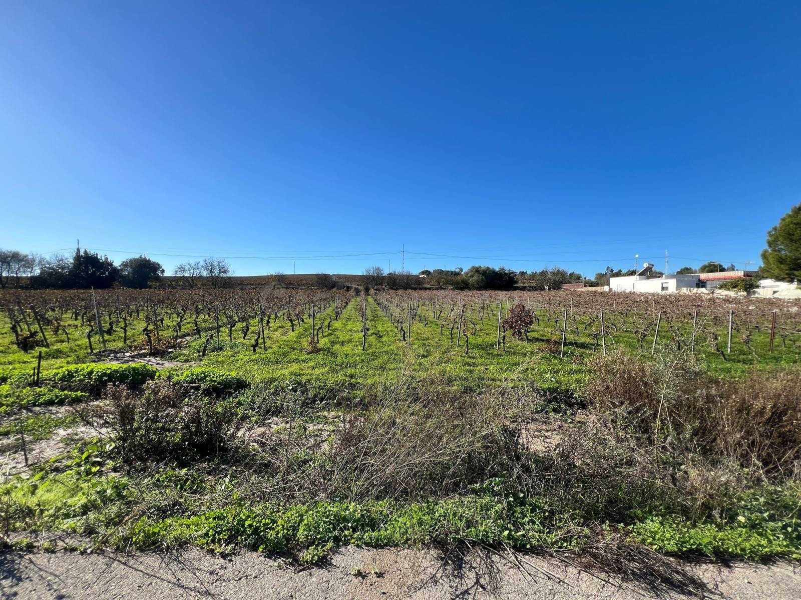 Parcela en venta - sur - foto 5