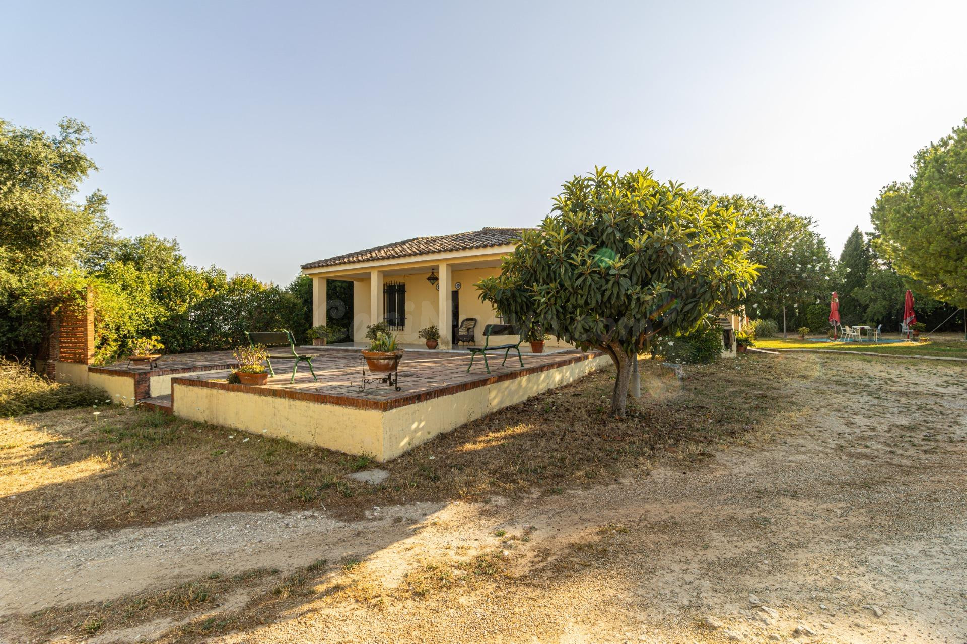Chalet en Pinosolete Bajo con 2.100 m2 de parcela listo para entrar a vivir - foto 2