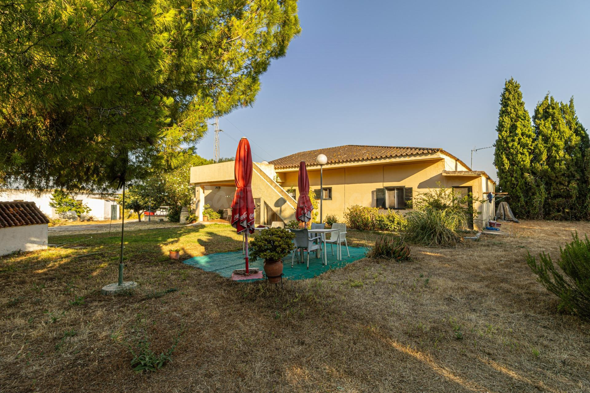 Chalet en Pinosolete Bajo con 2.100 m2 de parcela listo para entrar a vivir - foto 4