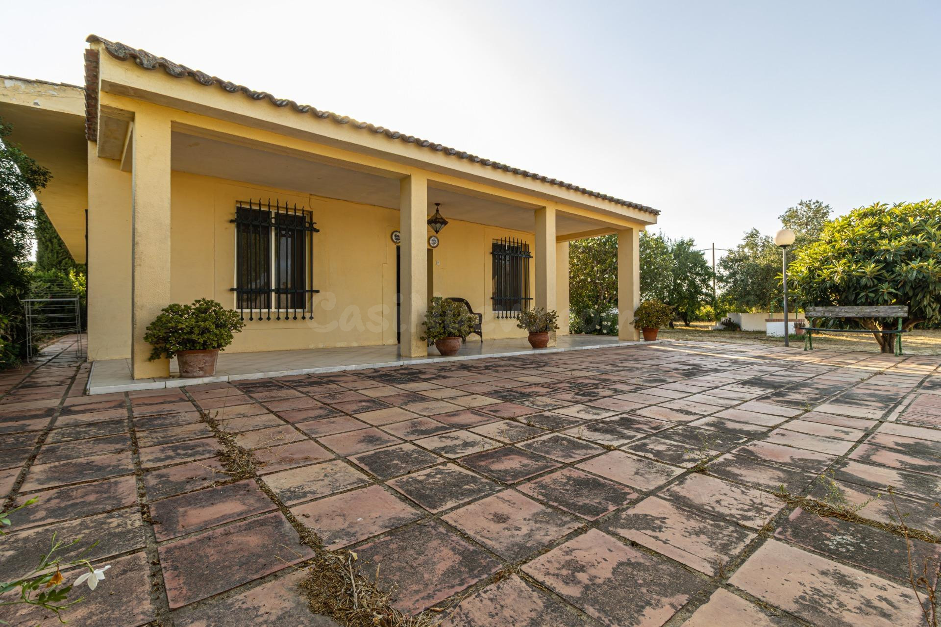 Chalet en Pinosolete Bajo con 2.100 m2 de parcela listo para entrar a vivir - foto 5