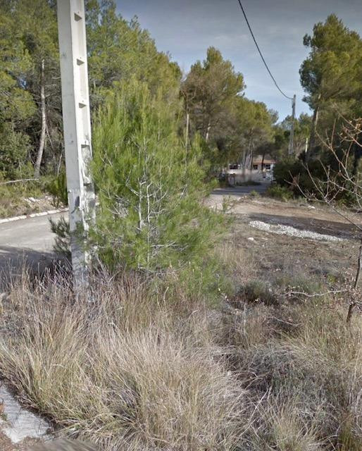 PRECIOSA PARCELA PARA CONSTRUIRTE LA CASA DE TUS SUEÑOS - foto 5