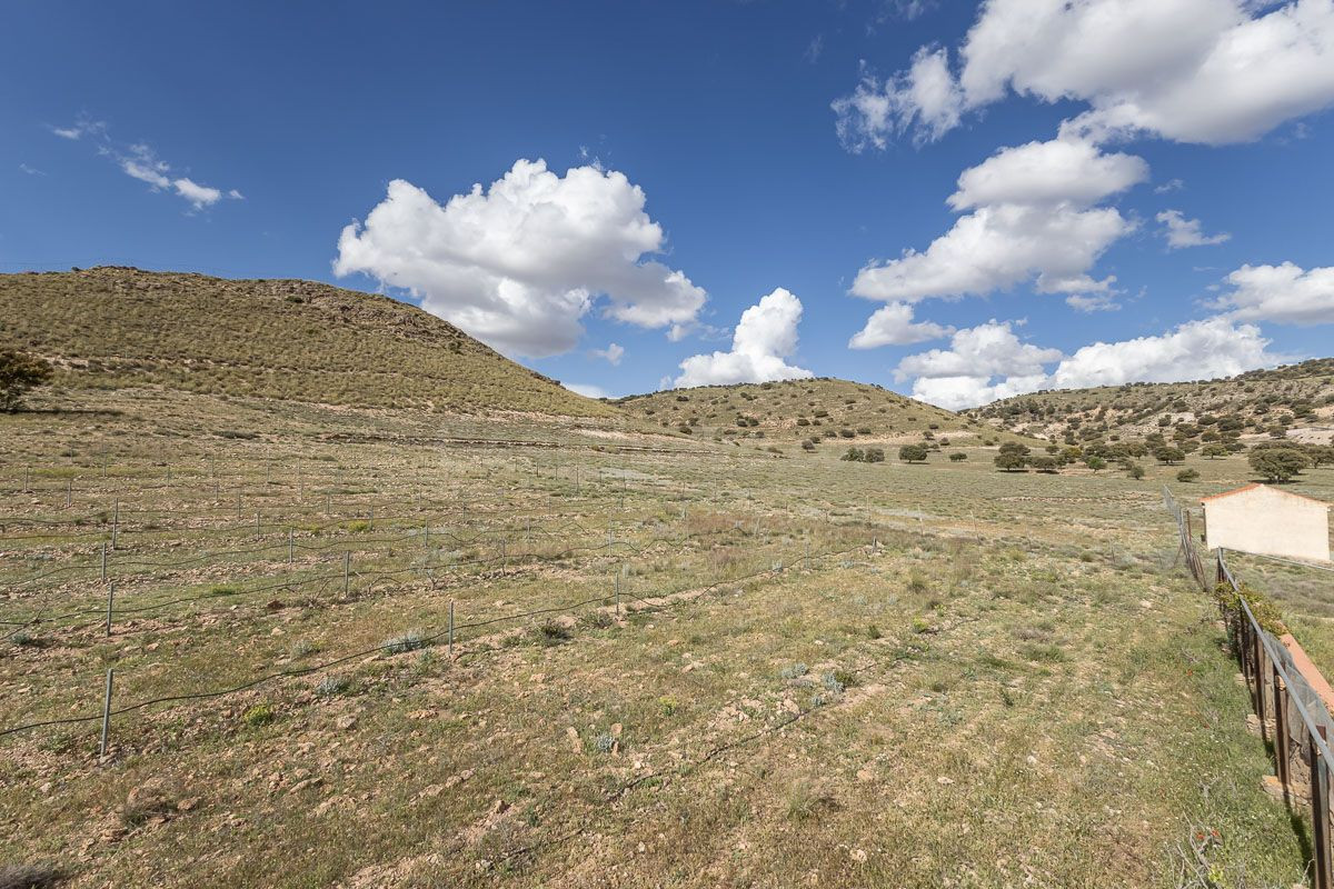 SE VENDE ESPECTACULAR FINCA EL LAUNERO EN GUADIX - foto 3