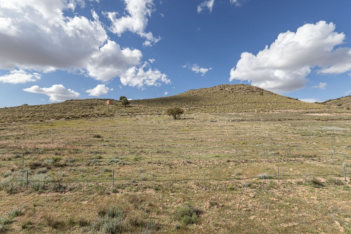 SE VENDE ESPECTACULAR FINCA EL LAUNERO EN GUADIX - foto 4