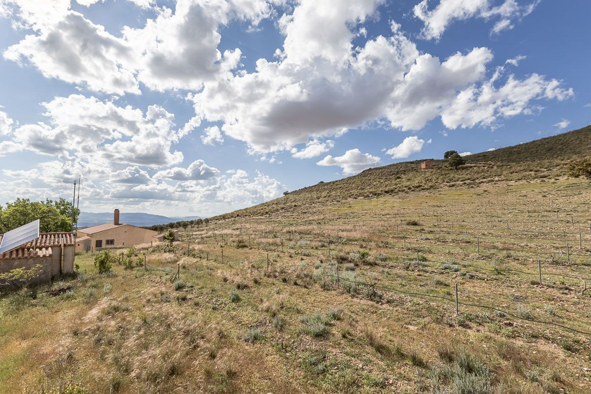 SE VENDE ESPECTACULAR FINCA EL LAUNERO EN GUADIX - foto 5