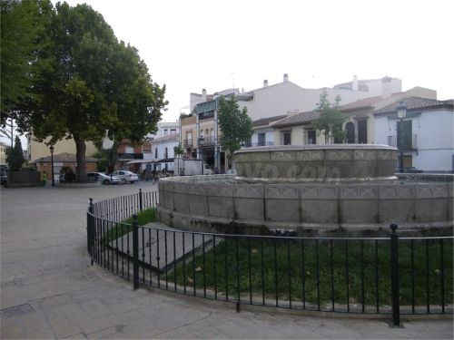 Magnifico local en Ogijares - foto 2