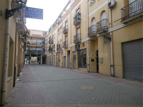 Magnifico local en Ogijares - foto 3