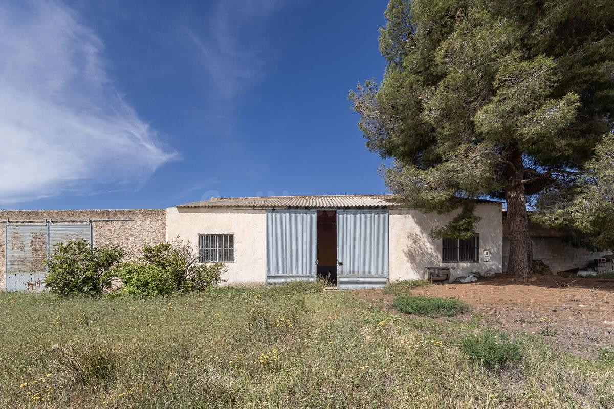 ESTUPENDO SOLAR URBANO CON NAVE EN PEDRO MARTÍNEZ