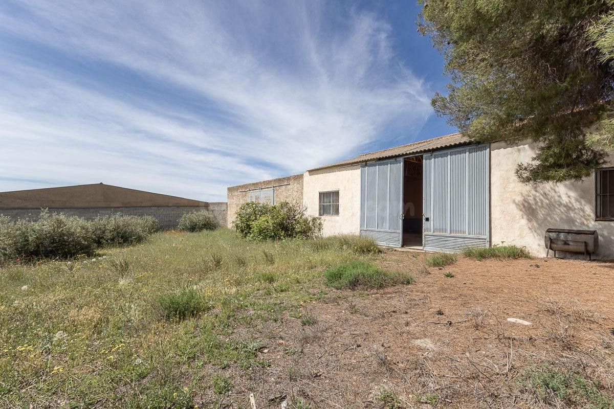 ESTUPENDO SOLAR URBANO CON NAVE EN PEDRO MARTÍNEZ - foto 2