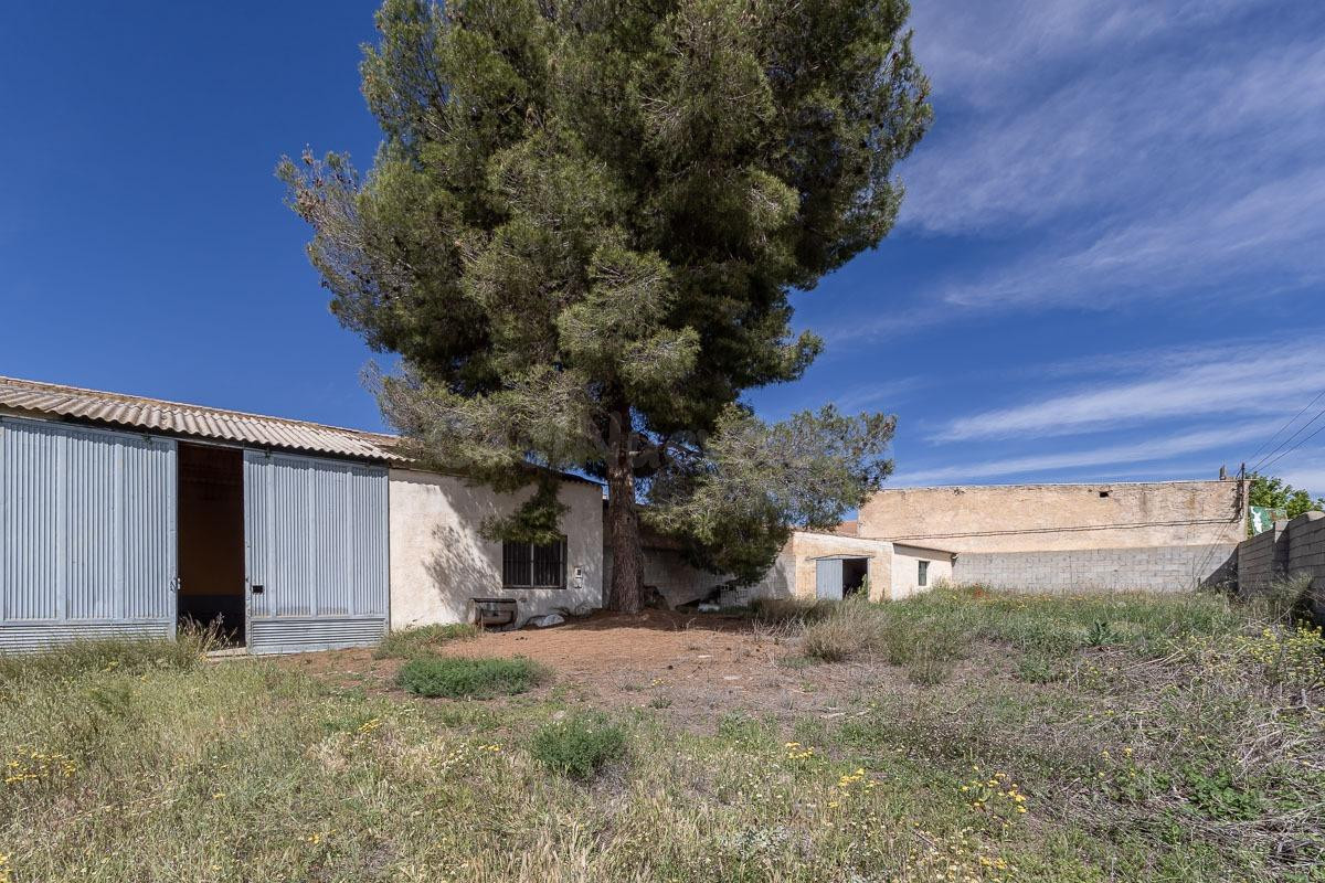 ESTUPENDO SOLAR URBANO CON NAVE EN PEDRO MARTÍNEZ - foto 3
