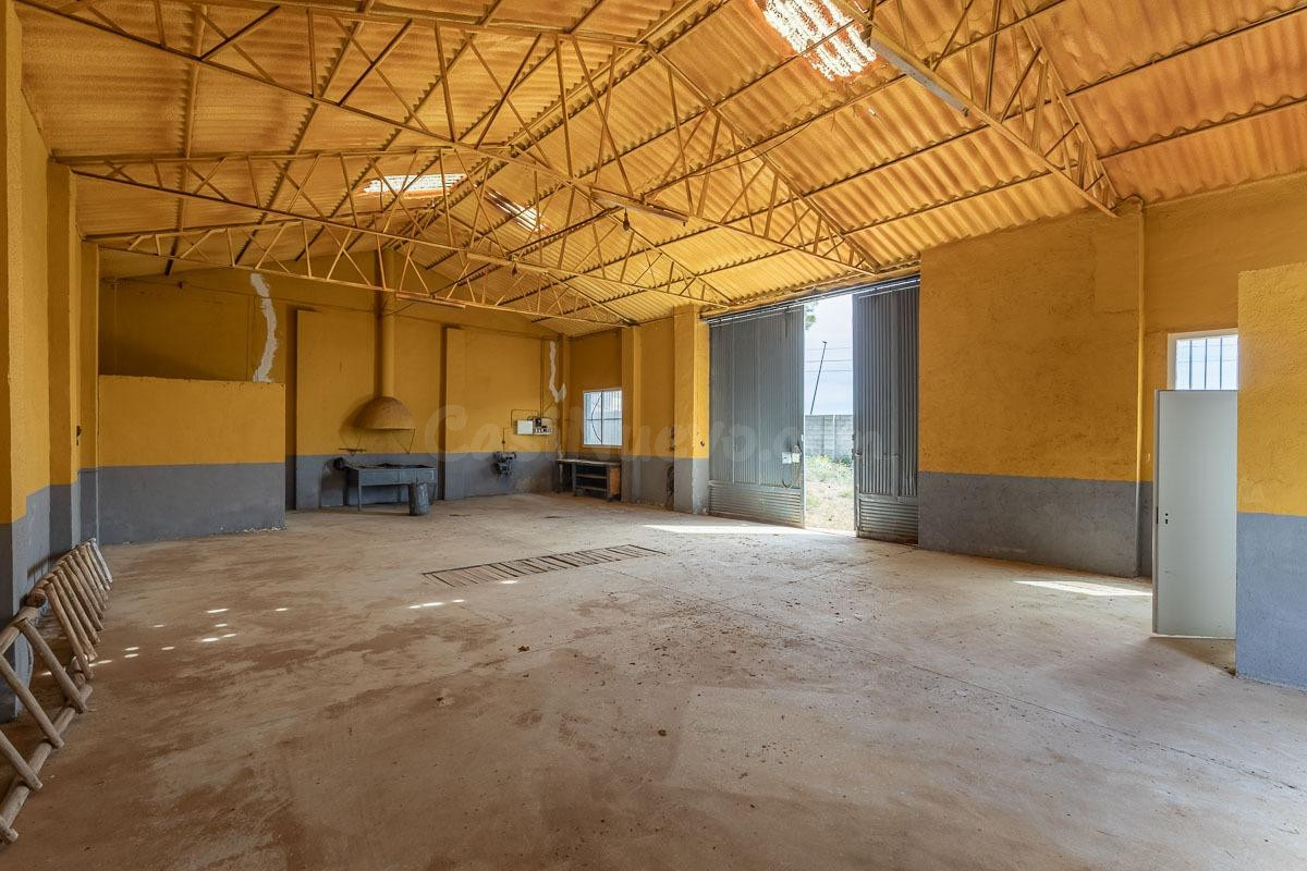 ESTUPENDO SOLAR URBANO CON NAVE EN PEDRO MARTÍNEZ - foto 4