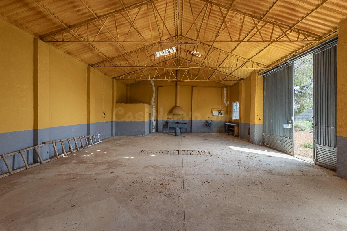 ESTUPENDO SOLAR URBANO CON NAVE EN PEDRO MARTÍNEZ - foto 5