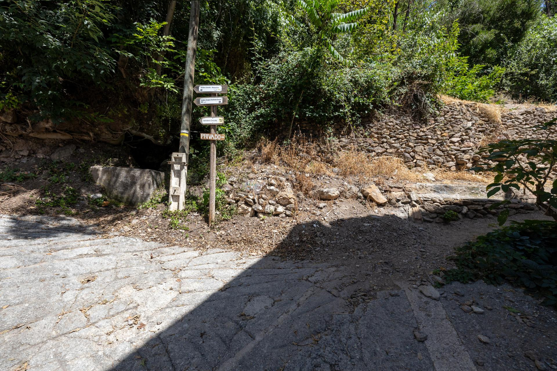 PARCELA RUSTICA CON LEGALIZACIÓN DE VIVIENDA - foto 5
