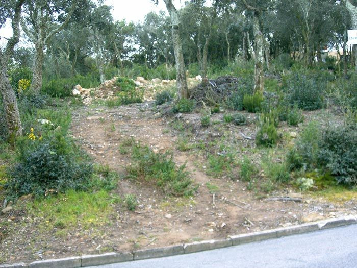 Parcela urbanizable en la Urbanización Mas Nou de Platja d'A - foto 2
