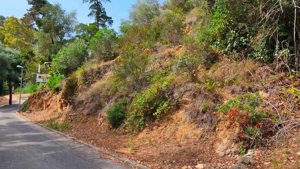 Dos parcelas contiguas urbanizables en Urbanización Rosamar