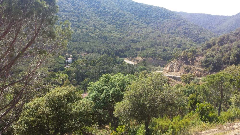 Dos parcelas contiguas urbanizables en Urbanización Rosamar - foto 4