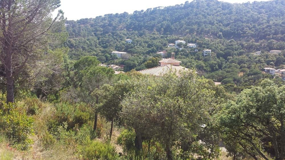 Dos parcelas contiguas urbanizables en Urbanización Rosamar - foto 5