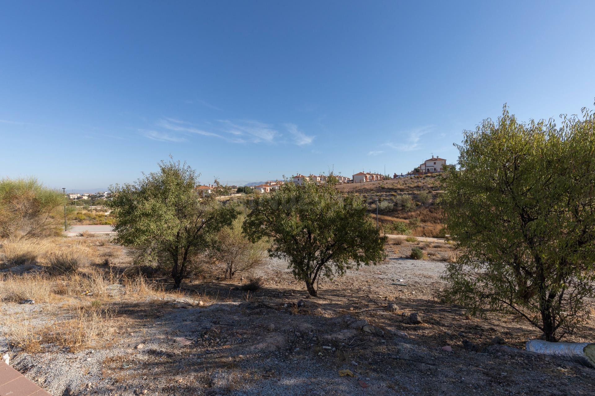 Parcela en llano en mitad del campo de Golf de Otura - foto 3