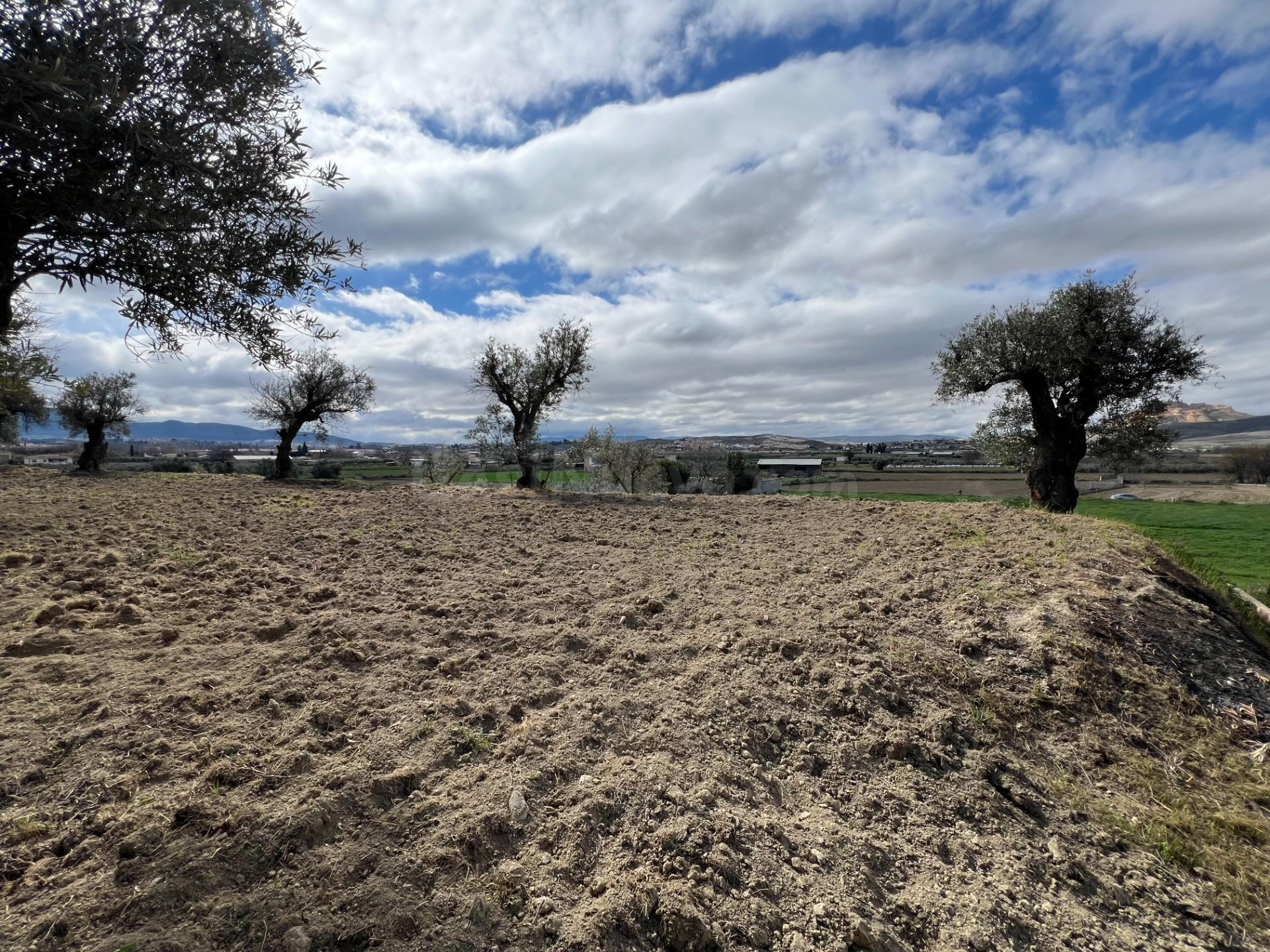 Un rincón de paz y futuro en Alhendín (SOLAR URBANIZABLE) - foto 2