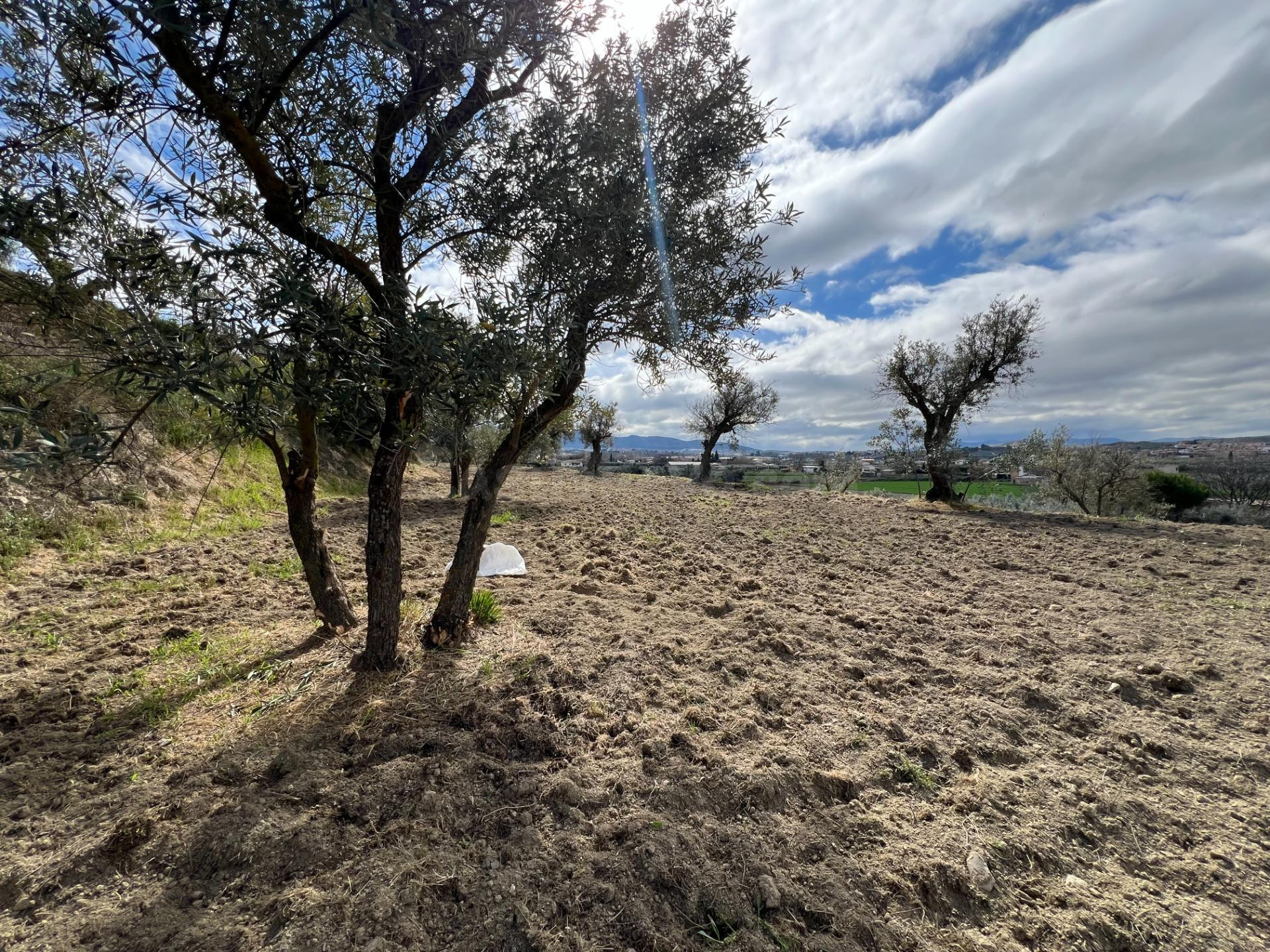Un rincón de paz y futuro en Alhendín (SOLAR URBANIZABLE) - foto 3