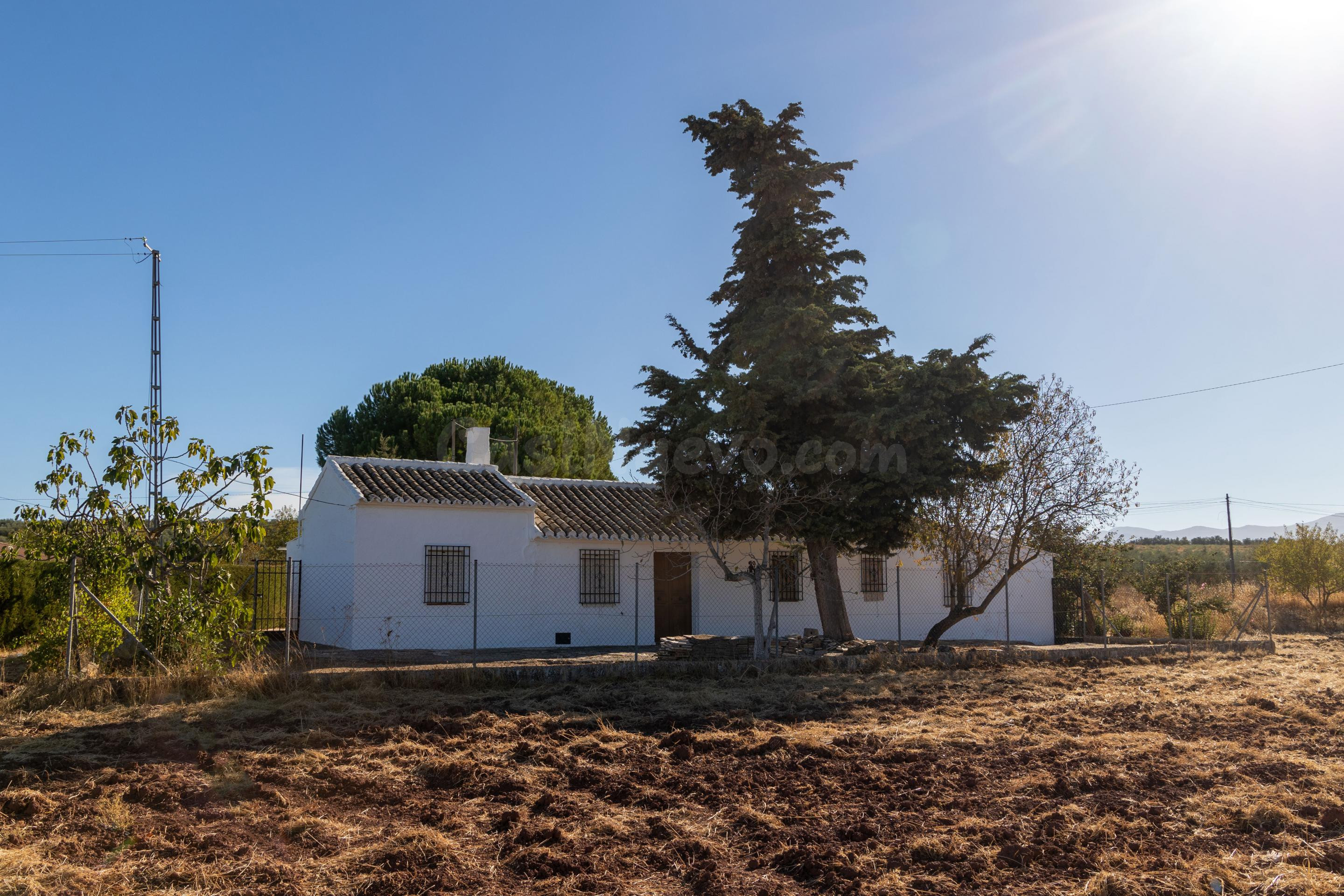TERRENO A LA VENTA