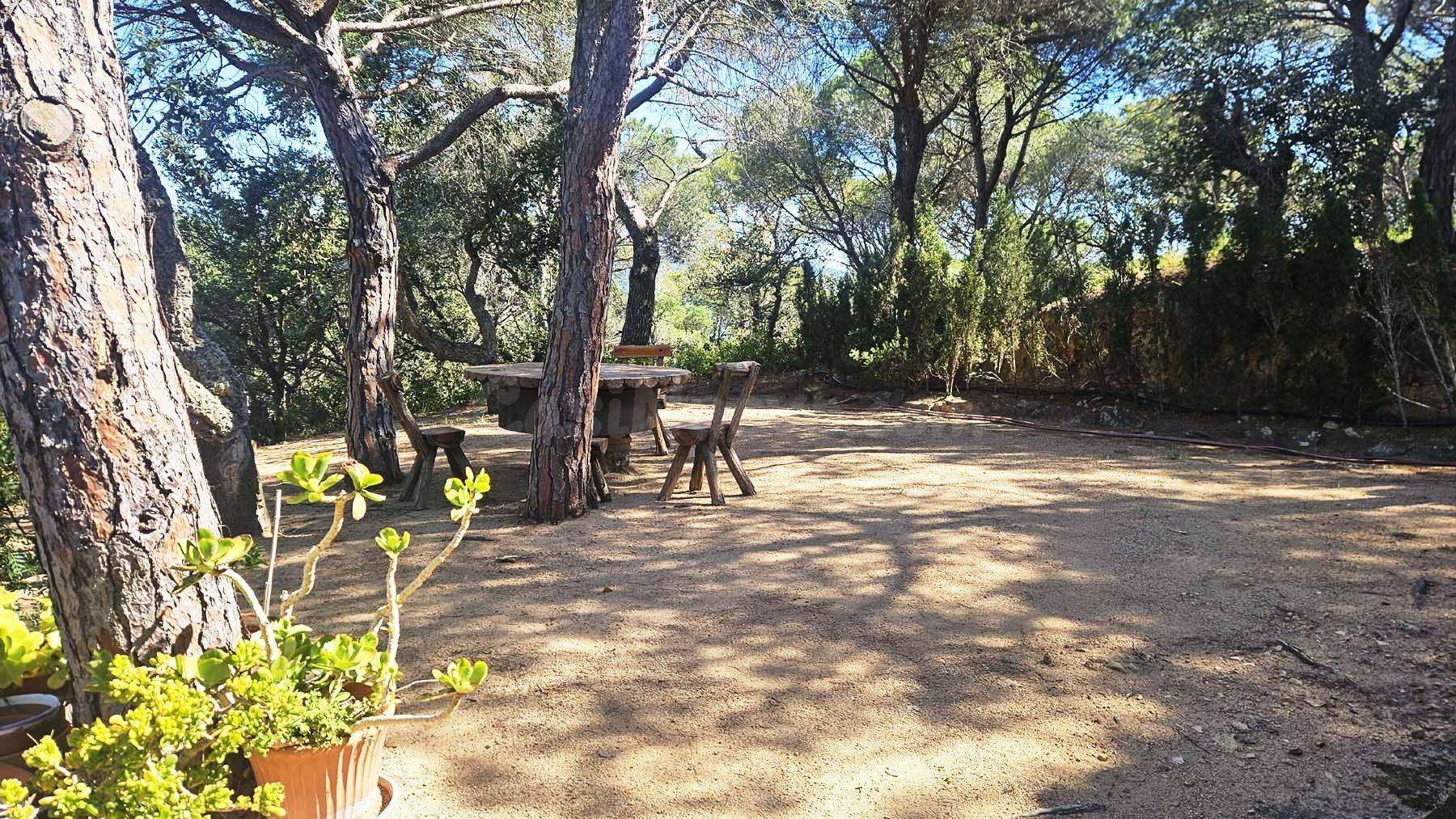Villa rústica familiar rodeada de bosque, al lado de la playa de Sant Pol - S'Agaró. - foto 5