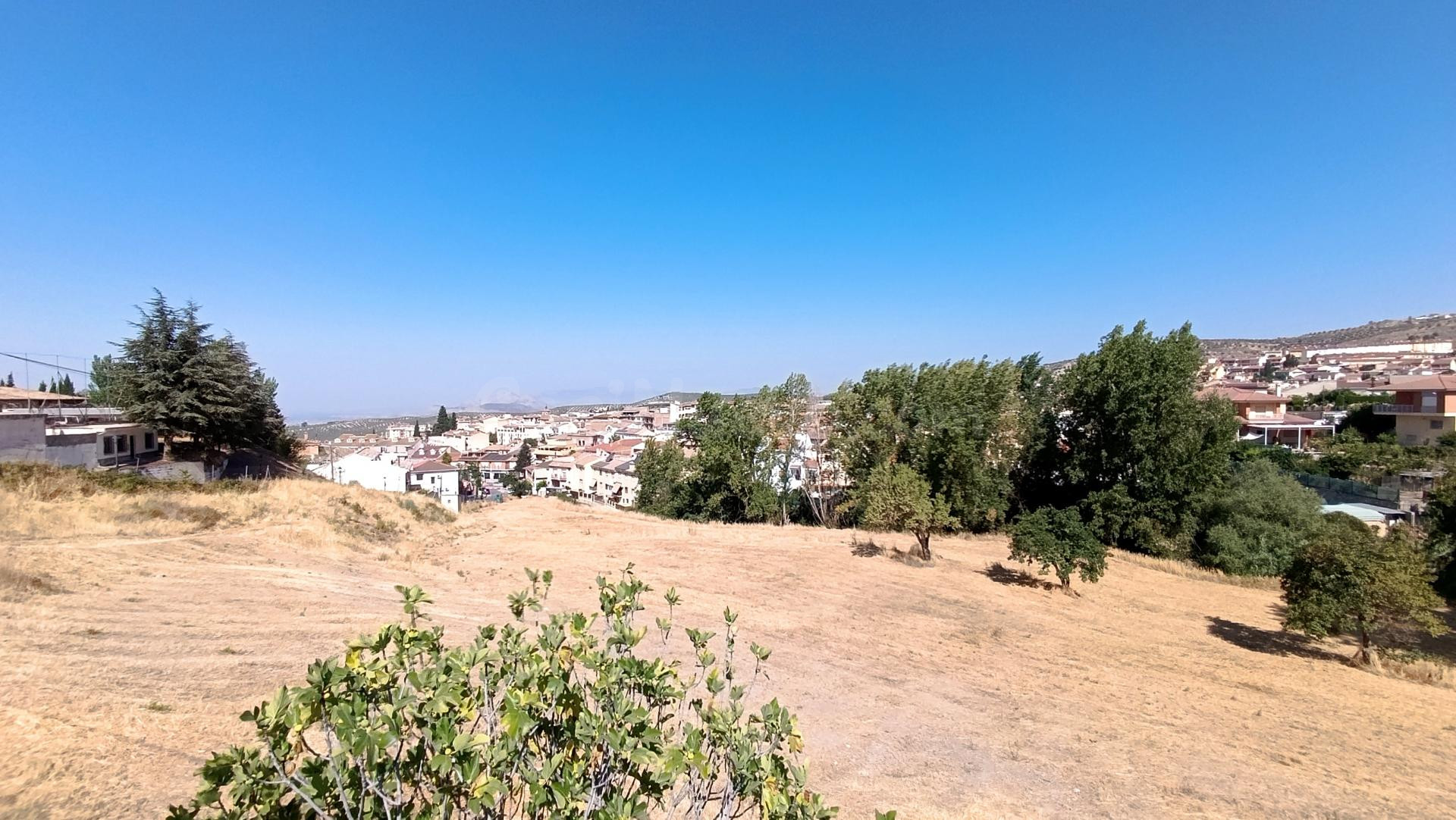 Oportunidad  para hacer Urbanización  en  Solar Urbano - foto 2