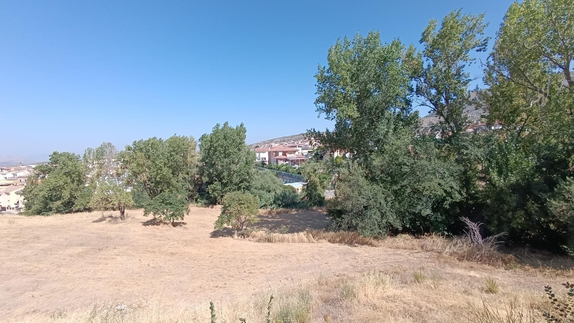 Oportunidad  para hacer Urbanización  en  Solar Urbano - foto 5