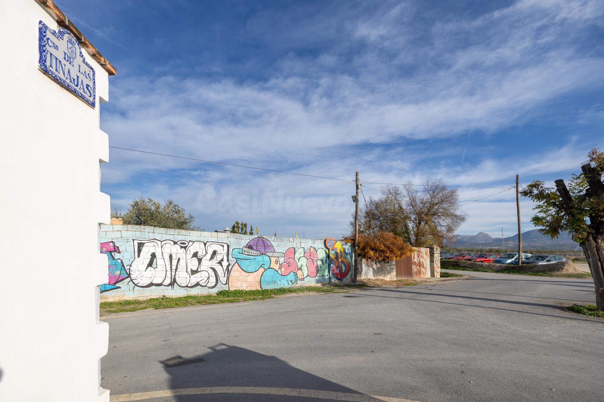 Parcela urbanizable con casa y piscina en Maracena - foto 3