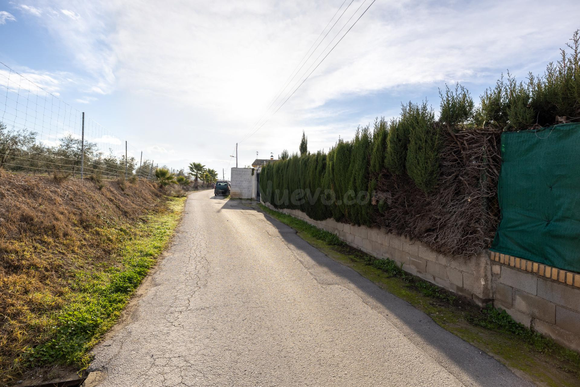 Parcela urbanizable con casa y piscina en Maracena - foto 5
