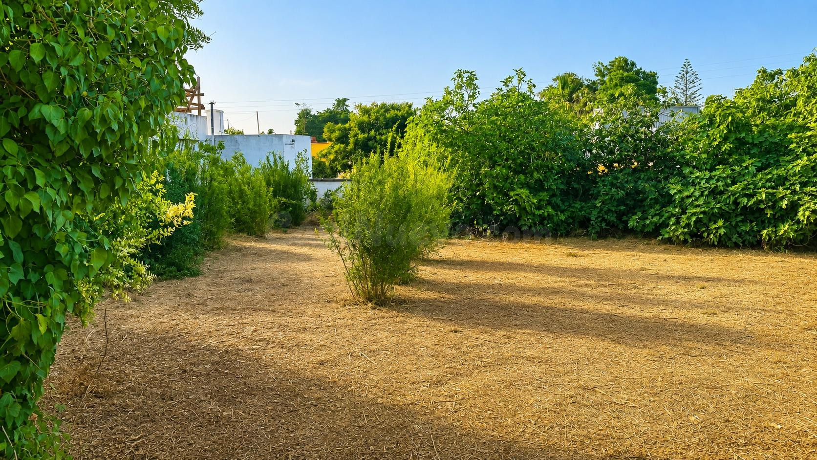 PARCELA URBANA EN JARDINES DEL MARQUESADO - foto 4