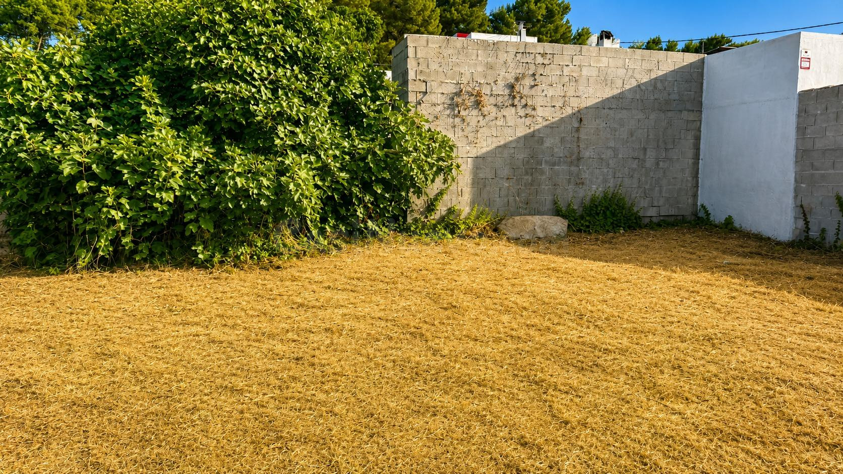 PARCELA URBANA EN JARDINES DEL MARQUESADO - foto 5