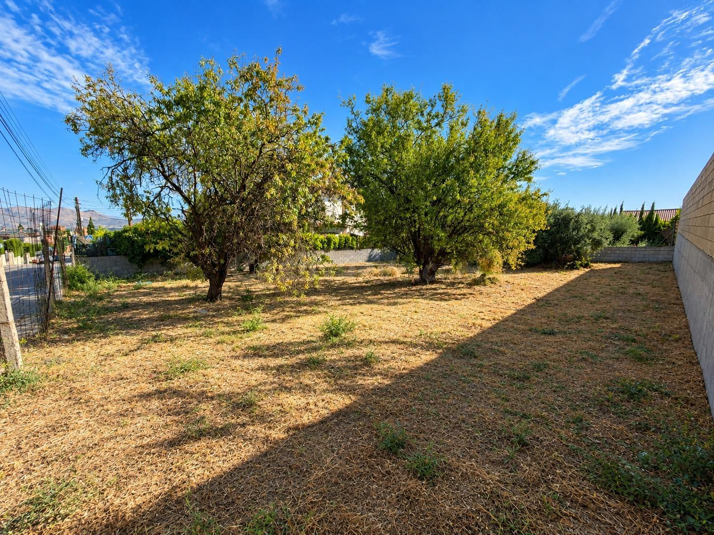 Solar urbano de 487 m2 en El Ventorrillo, Cúllar Vega. - foto 4