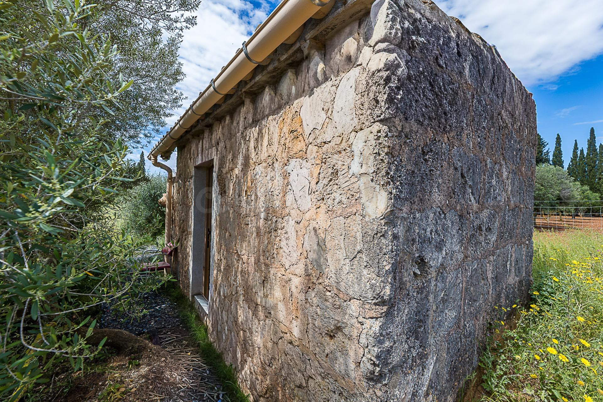 Finca rústica en Santa Maria del Camí