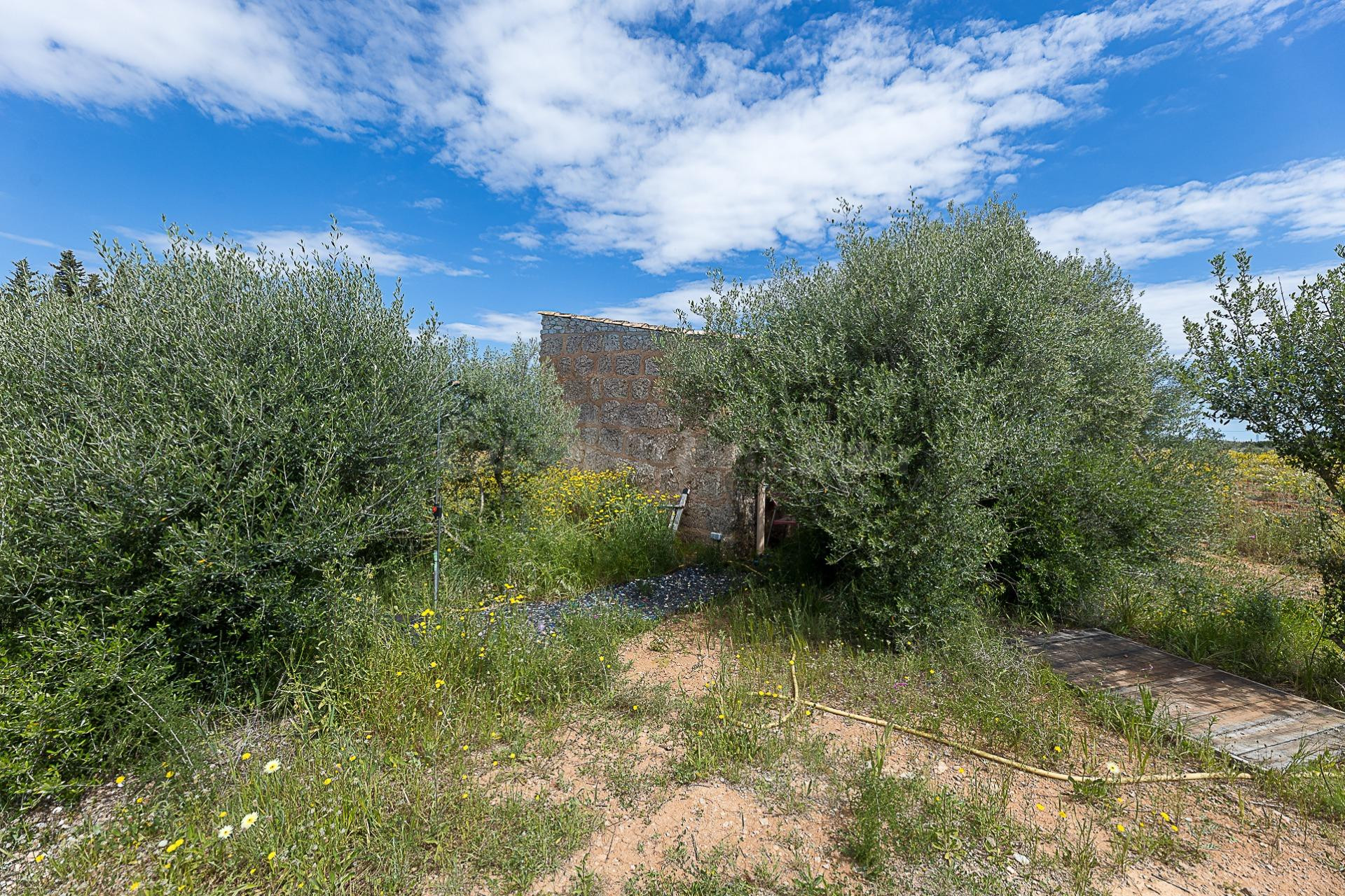 Finca rústica en Santa Maria del Camí - foto 2