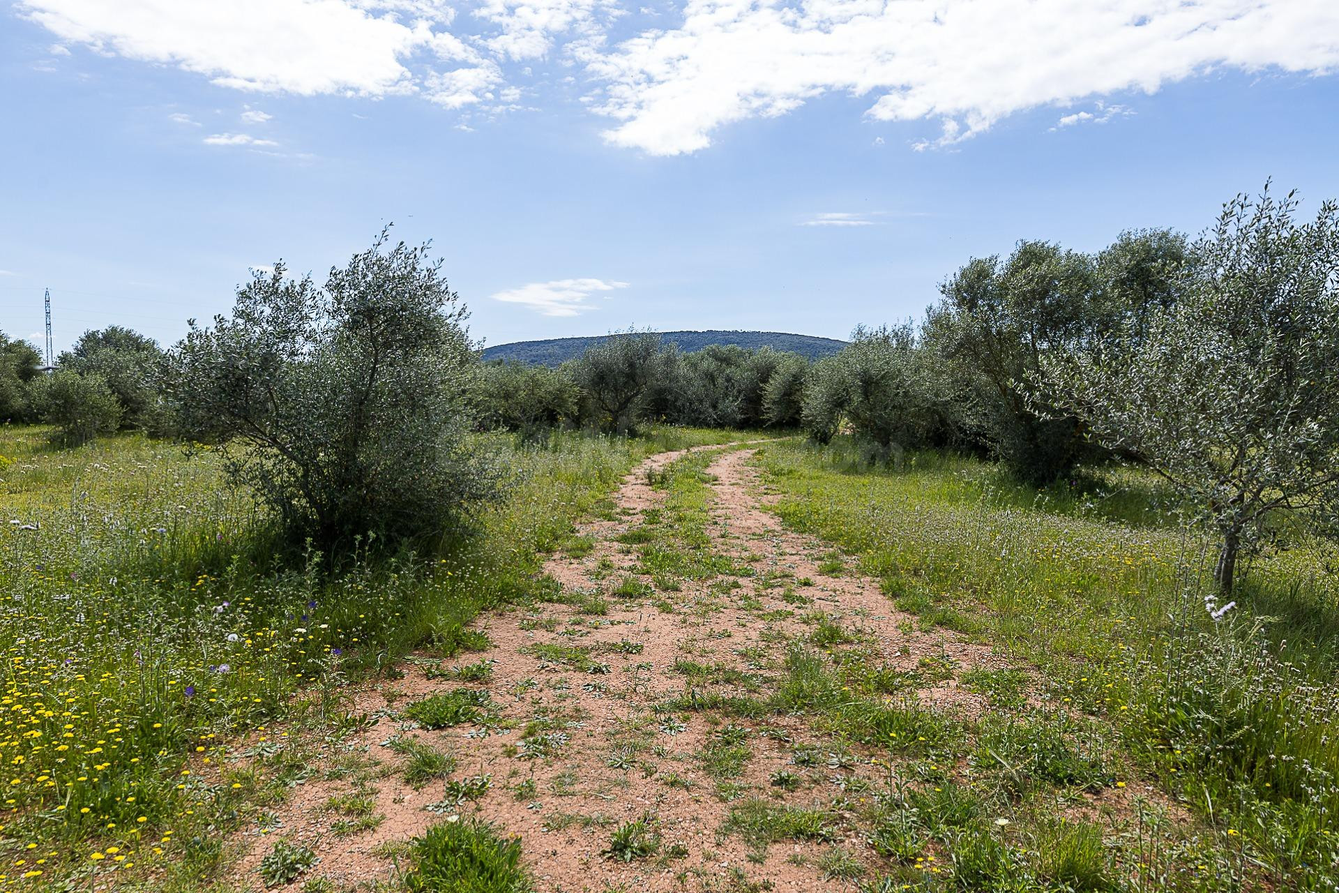 Finca rústica en Santa Maria del Camí - foto 3