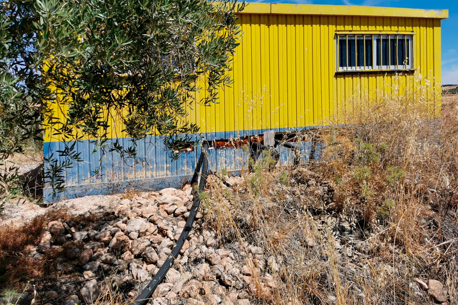FINCA DE OLIVOS - foto 4