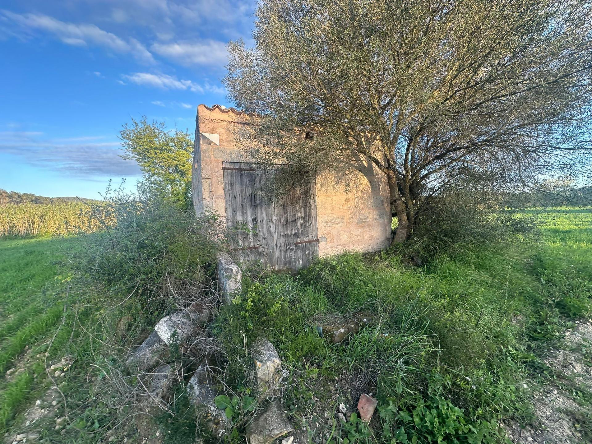 Finca rústica en Sant Joan - foto 4