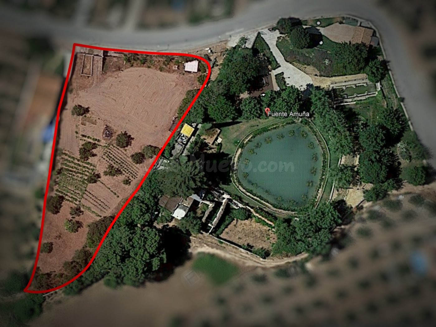 Finca Rústica en Alcaudete (Jaén)