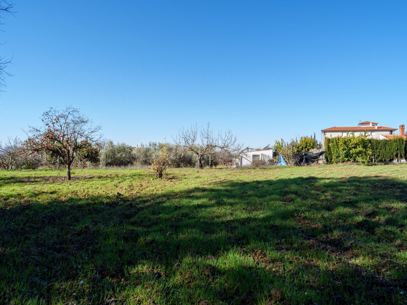 Finca Rústica en Alcaudete (Jaén) - foto 2