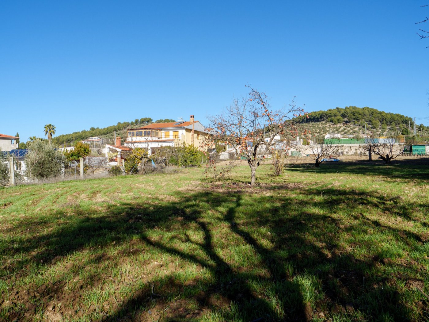 Finca Rústica en Alcaudete (Jaén) - foto 3
