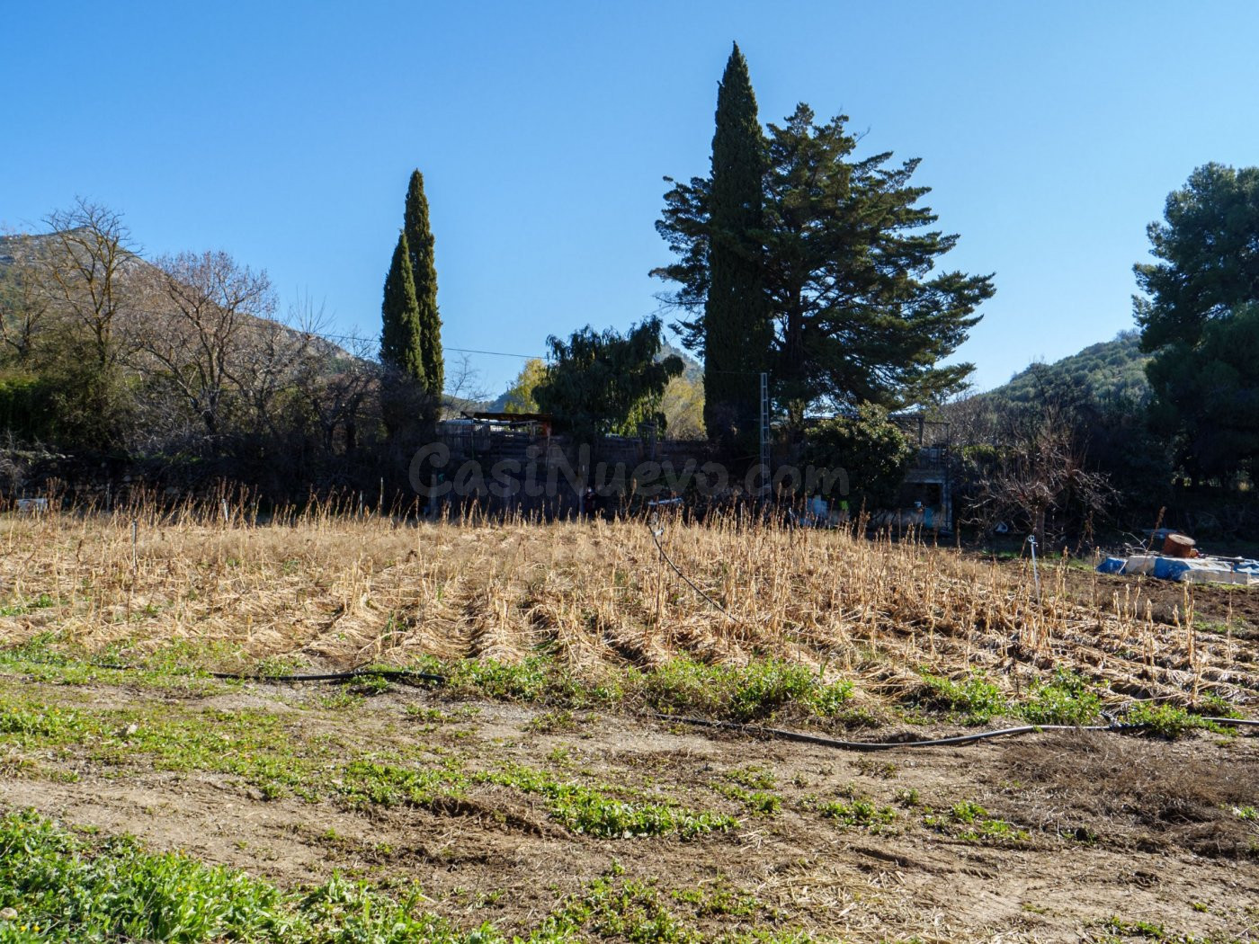 Finca Rústica en Alcaudete (Jaén) - foto 5